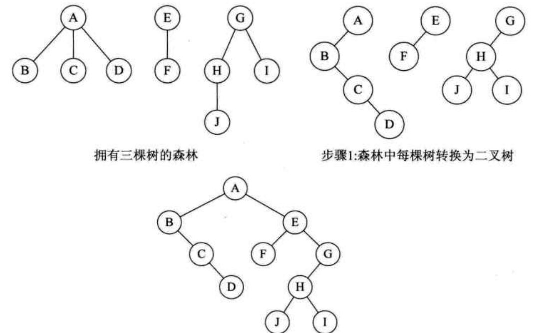 forest_binary
